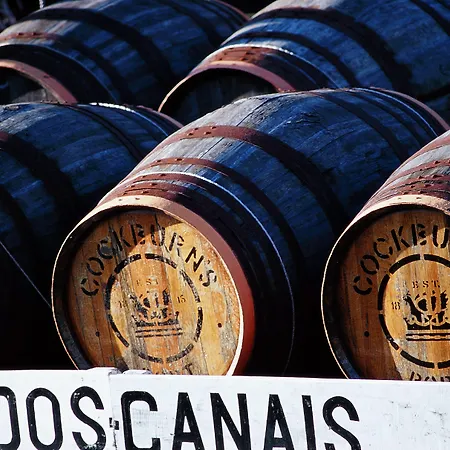 Отель Novotel Porto Gaia 4*