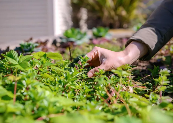 Novotel Porto Gaia Hotel Vila Nova de Gaia